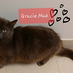 Thumbnail photo of GRACIE MAE #1