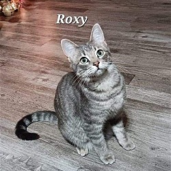 Photo of Roxy [CP]