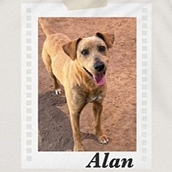 Photo of Alan
