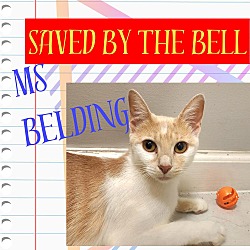 Thumbnail photo of Mrs Belding #1