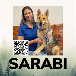 Thumbnail photo of Sarabi #1