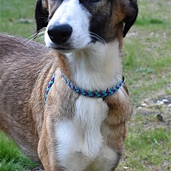 Photo of Xana