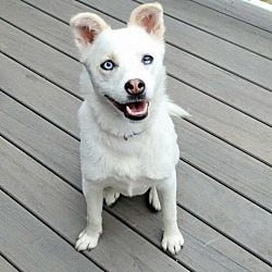 Photo of Fender