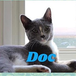 Thumbnail photo of Doc #4