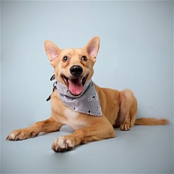 Photo of Cano