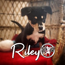 Thumbnail photo of Riley Grace World #1