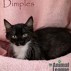 Thumbnail photo of Dimples #3