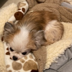 Thumbnail photo of Peanut #2