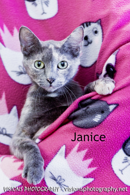 Photo of Janice