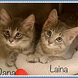 Thumbnail photo of LAINA & DANA (R) #2