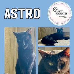 Thumbnail photo of Astro #1