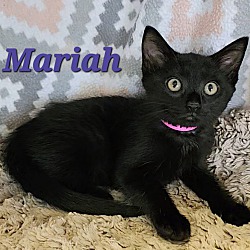 Thumbnail photo of Mariah #2