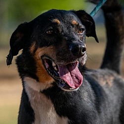 Photo of Fury JuM aka Rocky