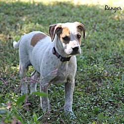 Thumbnail photo of Ranger #2