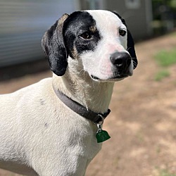 Photo of Snoop Dogg