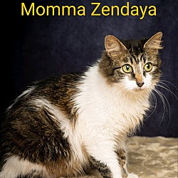 Photo of Momma Zendaya