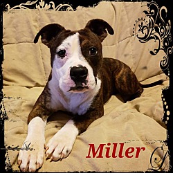 Thumbnail photo of Miller #3