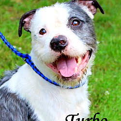 Thumbnail photo of Turbo~SO CUTE~ #2