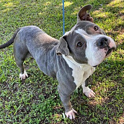 Photo of Selena/ADOPTED