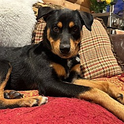 Photo of Bodie