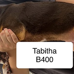 Thumbnail photo of Tabitha B400 #2