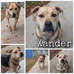 Thumbnail photo of Xander #1