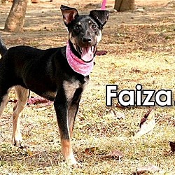 Photo of Faiza from Taiwan