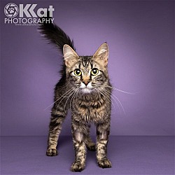 Photo of Kittay