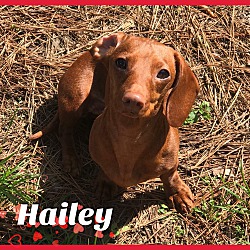 Thumbnail photo of Hailey #1