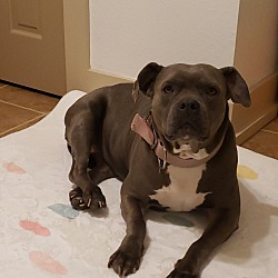 Photo of Tiny