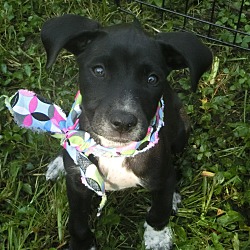 Photo of Jolene ~ meet me!