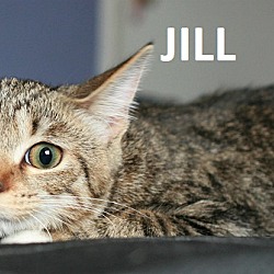 Thumbnail photo of Jack & Jill #4