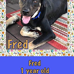 Photo of Fred