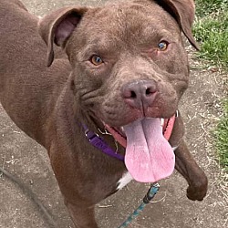 Photo of SMILEY