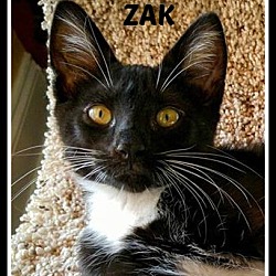 Photo of ZAK
