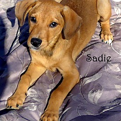 Thumbnail photo of Sadie ~ meet me~ #3