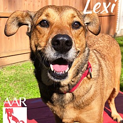 Thumbnail photo of Lexi #4