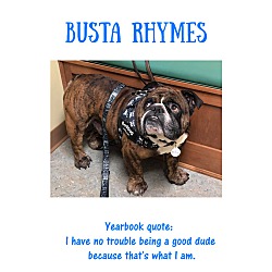 Thumbnail photo of Busta Rhymes #1