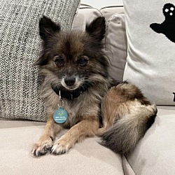 Photo of Bandita