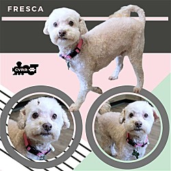 Photo of Fresca (Ritzy)