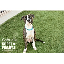 Thumbnail photo of Gabrielle #3