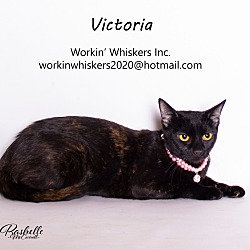 Thumbnail photo of VICTORIA #3