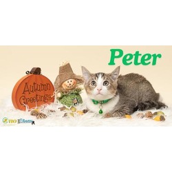 Thumbnail photo of Peter #1