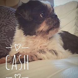 Thumbnail photo of Cash #2
