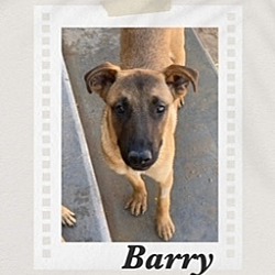 Photo of Barry