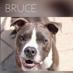 Thumbnail photo of Bruce #4