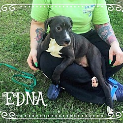 Thumbnail photo of Edna #1