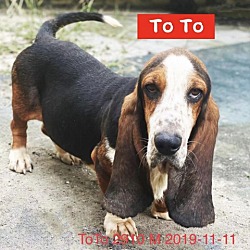 Photo of ToTo 2910