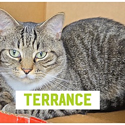 Photo of Terrance