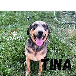 Thumbnail photo of Tina (Courtesy Post) #1